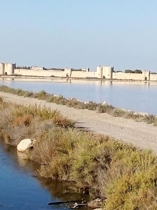 Aigues Mortes Studio De Vacances En Camargue Dış mekan fotoğraf